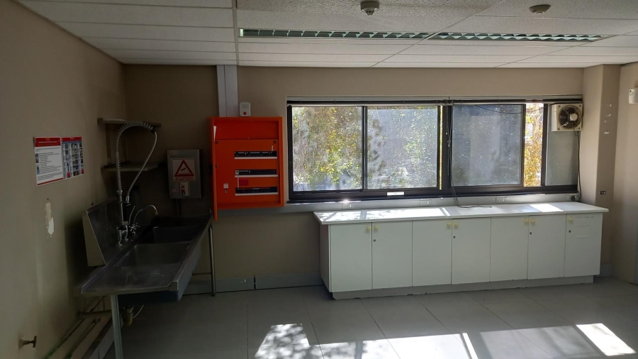 To Let commercial Property for Rent in Pinelands Western Cape